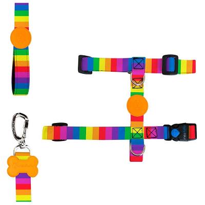 Peitoral H e Guia Rainbow para Cães - Tam. M