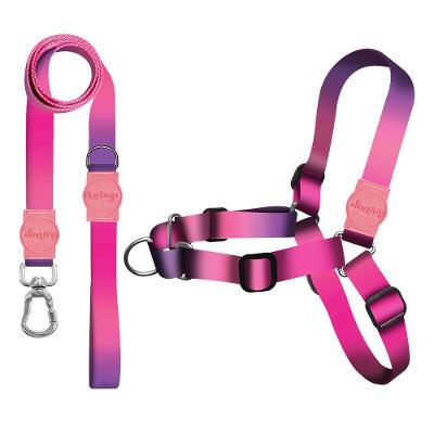 Kit Guia Premium + Peitoral Antipuxão Dog Trip Brasil Peniche para Cães - Tam. P