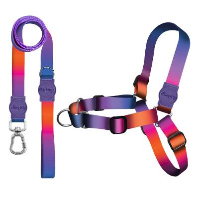 Kit Guia Premium + Peitoral Antipuxão Dog Trip Brasil Padang para Cães - Tam. PP