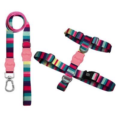 Kit Guia Premium + Peitoral H Dog Trip Brasil Oahu para Cães - Tam. M