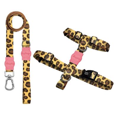 Kit Guia Premium + Peitoral H Dog Trip Brasil Guma para Cães - Tam. P