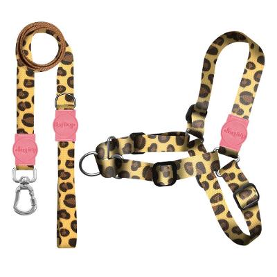 Kit Guia Premium + Peitoral Antipuxão Dog Trip Brasil Guma para Cães - Tam. M