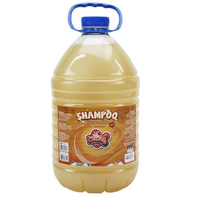 Shampoo Dourador CatDog & Cia Linha Profissional para Cães e Gatos - 5 Litros