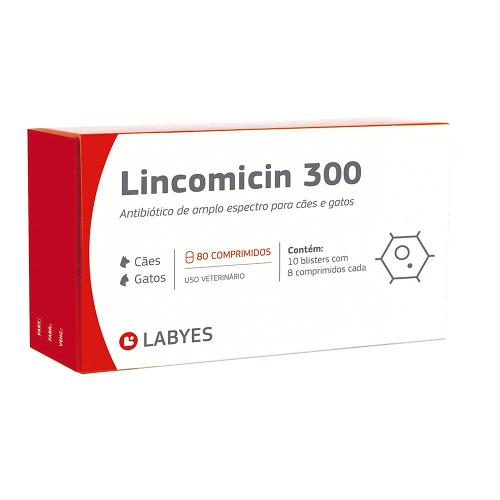 Antibiótico Labyes Lincomicin 300 - 80 Cápsulas