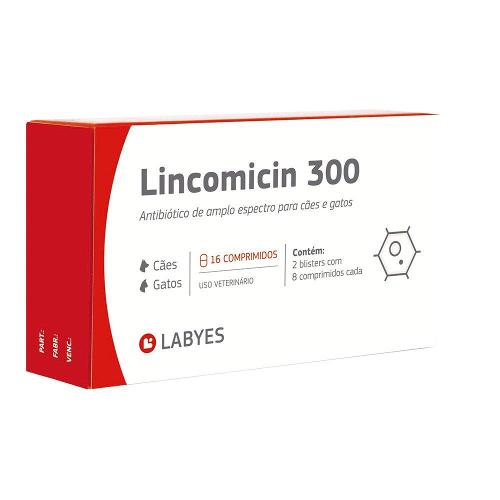 Antibiótico Labyes Lincomicin 300 - 16 Cápsulas