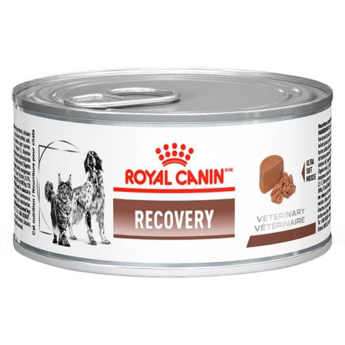 Ração Royal Canin Lata Canine e Feline Veterinary Diet Recovery Wet - 195 g