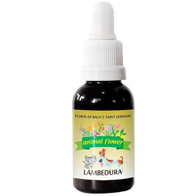 Floral Animal Flower Gotas Lambedura - 30 mL