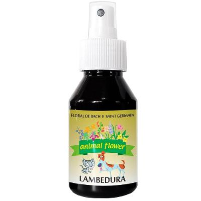 Floral Animal Flower Spray Lambedura - 100 mL