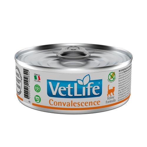 Ração Úmida Farmina Vet Life Convalescence para Gatos - 85 g