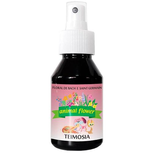 Floral Animal Flower Spray Teimosia - 100 mL