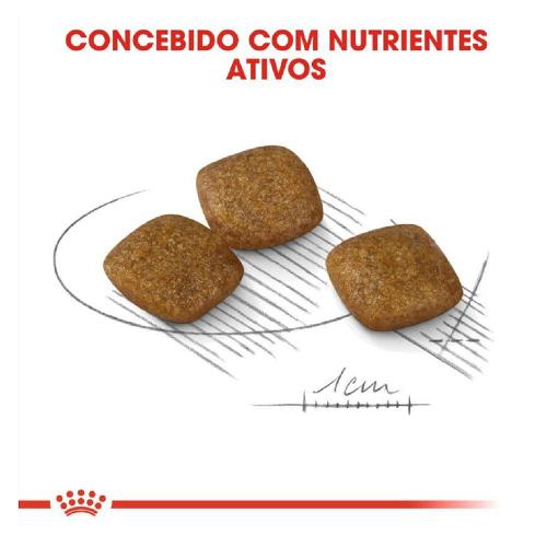 Ração Royal Canin Relax Care Cães Adultos Raças Mini- 2.5 Kg