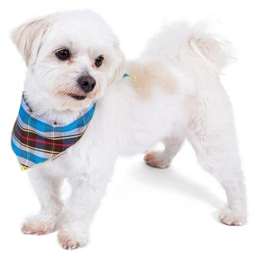 Bandana Pickorruchos Azul Xadrez - Tam. P