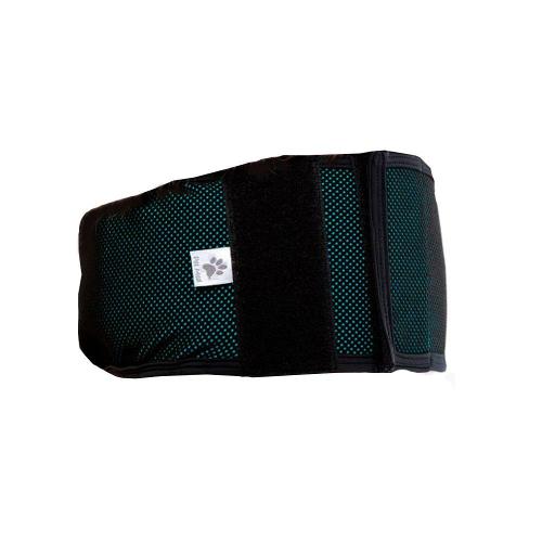 Protetor Higiênico Pet Med Verde para Fraldas de Cães Machos - Tam. 02