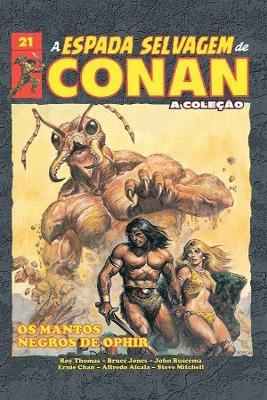 A Espada Selvagem De Conan Vol. 21
