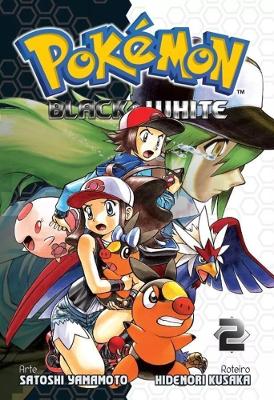 Pokémon Black And White Vol. 2
