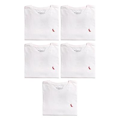 Kit 5 Camisetas Brasa Pica Pau Bordado Reserva Mini