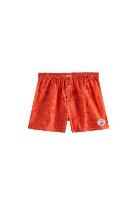 Cueca Samba Canção Gibi Pica Pau Reserva Mini