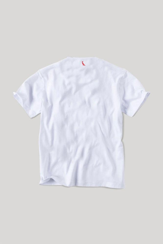 Camiseta Infantil Algodão Todo Mundo Estilosa Reserva Mini - 2