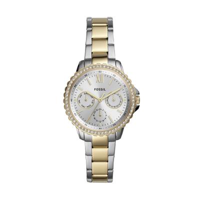 Relógio Fossil Feminino Dress Bicolor - ES4784/1KN