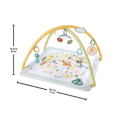 Fisher-Price Ginásio Primeiros Sentidos - Mattel