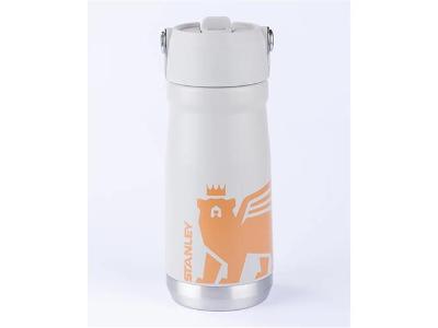 Garrafa Térmica Flip Straw Youth Kids Stanley Ash 500ML