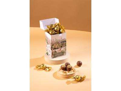 Caixa Bombom Chocolate ao Leite com Recheio de Pistache 132g