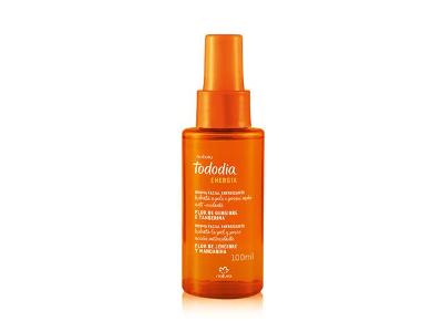 Bruma Facial Energizante Natura Tododia FlorGengibre e Tangerina 100ml