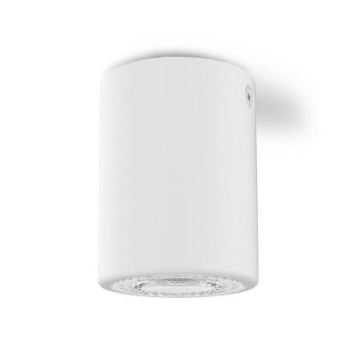Spot De Sobrepor Cannon Mr16 Redondo Taschibra Branco