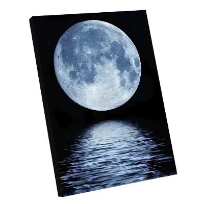 Quadro Lua Cheia -- Br Artes