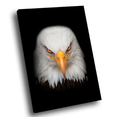 Quadro Visão De águia -- Br Artes