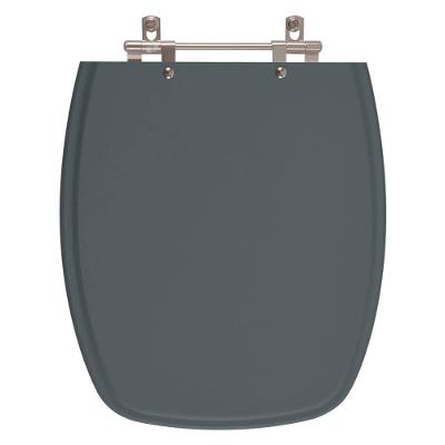 Assento Sanitario Plus Cinza Escuro Para Bacia Fiori 6lpf
