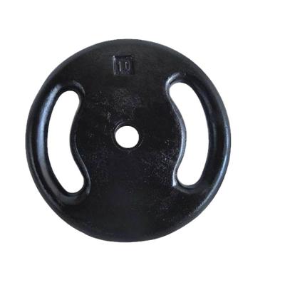 Anilha Ferro Fundido Pintada Academia 10 Kg