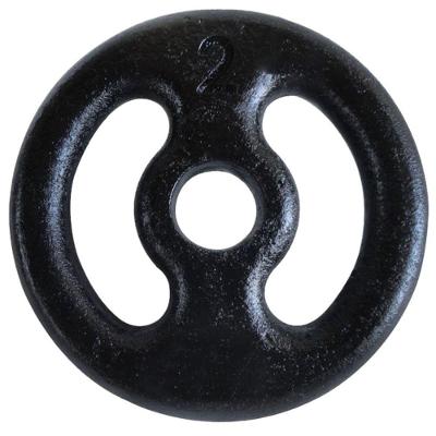 Anilha Ferro Fundido Pintada Fitness Academia 2Kg