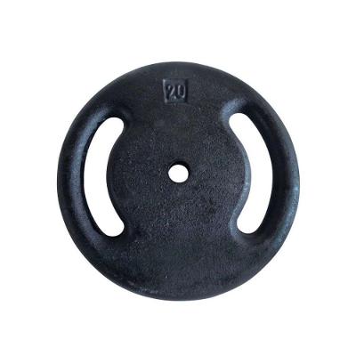Anilha Ferro Fundido Pintado Profissional 20Kg