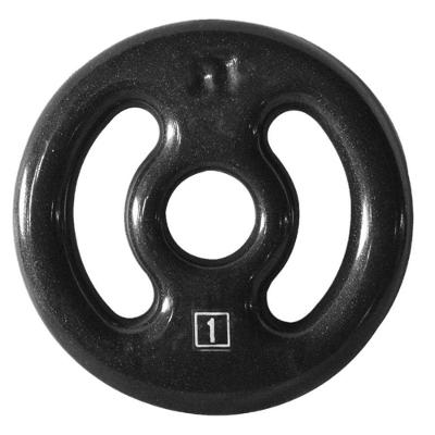 Anilha de Ferro Fundido Emborrachada Fitness Academia 1Kg