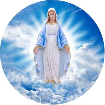 Capa De Estepe Ecosport Religioso Nossa Senhora Das Graças