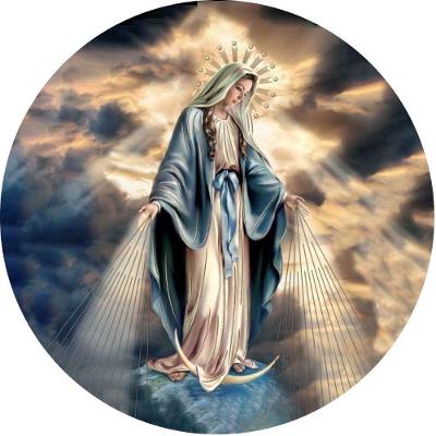 Capa Estepe Ecosport Religioso Nossa Senhora dos Milagres