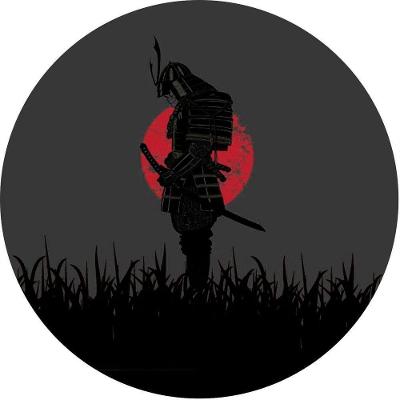 Capa De Estepe Personalizada Ecosport Samurai