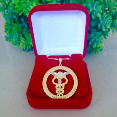 Gargantilha Profissão Ciências Contábeis Banhado A Ouro 18K