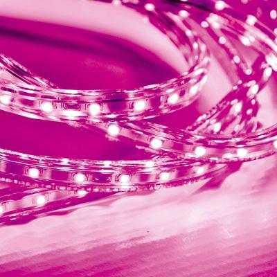 Fita Led Taschibra 5w/m Ip67 220v Alta Proteção Cores Metro Rosa