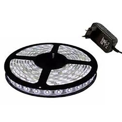 Fita Led Branco Frio 5 Mts 300 Leds para Sancas Iluminação