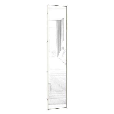 Porta Para Closet Com Espelho Individual 50cm Inox Espelho