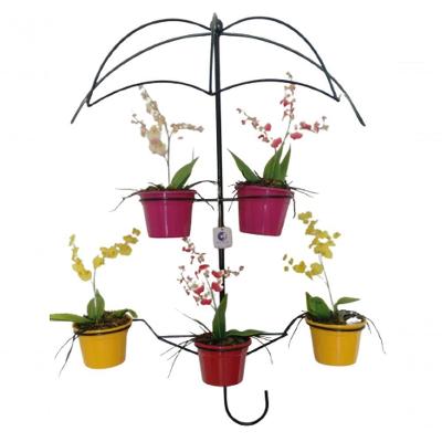 Suporte Plantas Guarda Chuva Preto 5 Vasos.