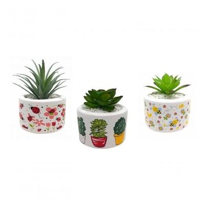 Vaso Jardim Cachepo Suculenta Trio Cerâmica 5,3 Cm Diâmetro