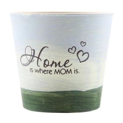 Mini Vaso De Planta Cachepot Estampado Decorado 12,5cm