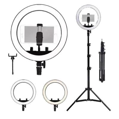 Luz Ring Light 10 Pol Led 3500/5500k Tripé Suporte Celular