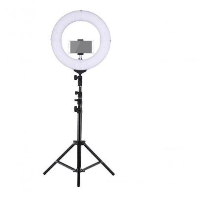 Ring Light Iluminação Regulável Lâmpada + Tripé 2,1M