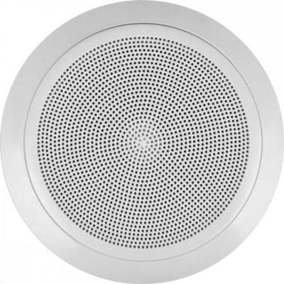Arandela 6" Full Range 30W Rms Ar-630 F Hayonik.