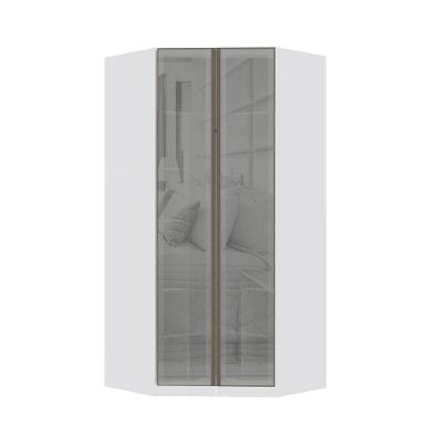 Guarda Roupa Canto 2 Portas 111,9cm Prata Branco Prata