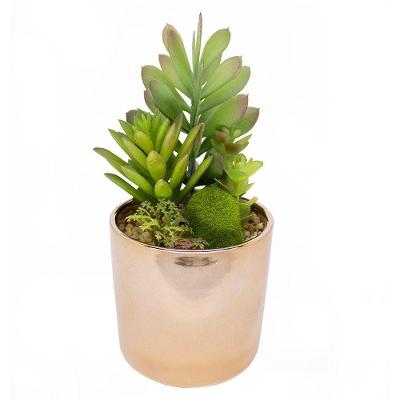 Vaso Decorativo Dourado Com Suculentas Artificiais Sortidas 19x8 Cm F04 - D'rossi